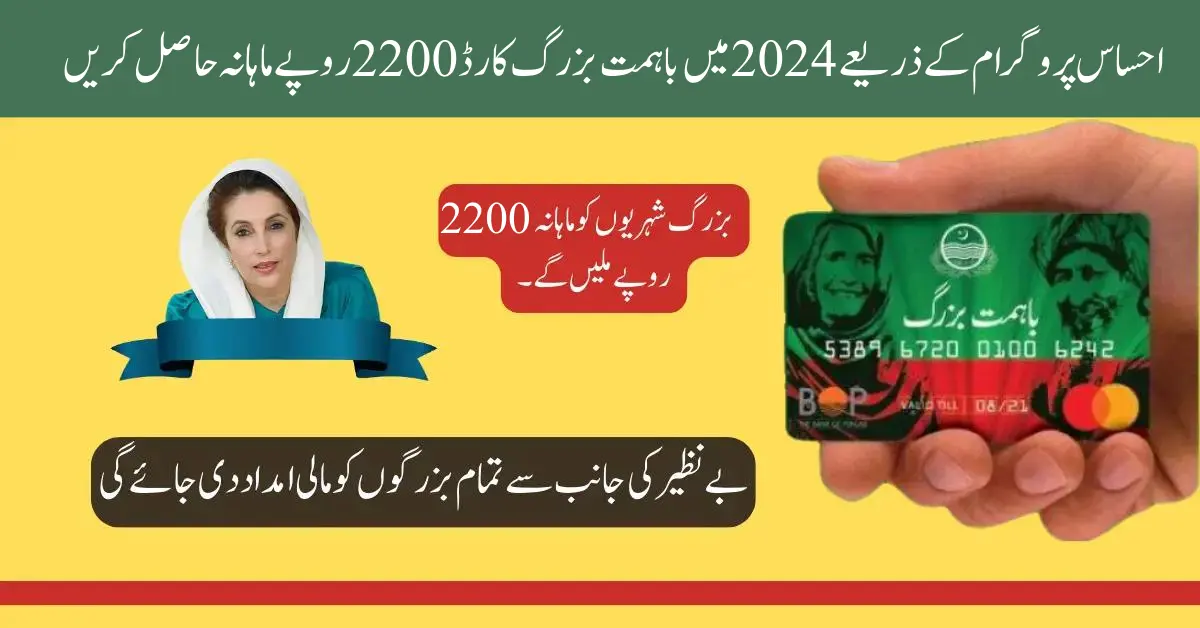 Ba Himmit Buzurg Card By Ehsaas Program In 2024 For 2200 Rupees Per Month